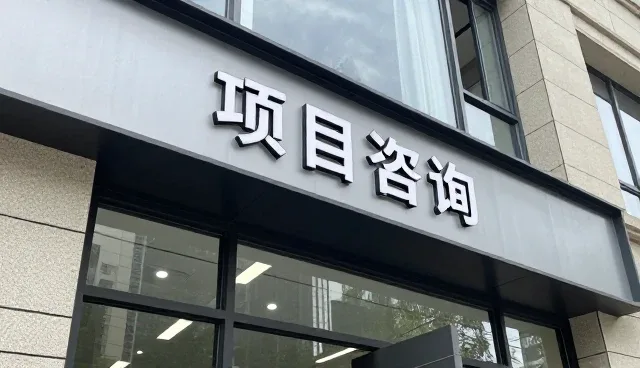 项目咨询成为项目咨询等发展的重要工具